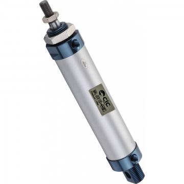 Bosch 0 822 021 013 Pneumatic Cylinder 40mm X 10mm 10bar