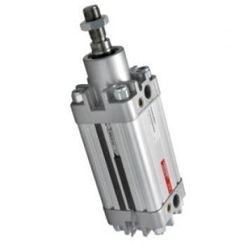  Vérin pneumatique air Cylinder DOUBLE Bosch D50 mm H 50 mm  765 0 822 352 002