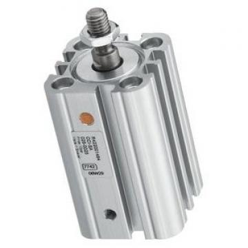 Bosch 0 822 242 010  0822242010  TRB-DA Pneumatic  Cylinder   