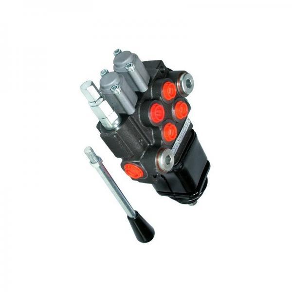 Distributeur hydraulique 40L/min, 5 éléments 2 joysticks Vannes double effet #3 image