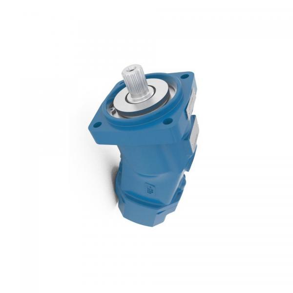 Nessie Danfoss PAH 2,0 Hi Pressure Tap Water Pump, Technical Water Axial Piston #1 image