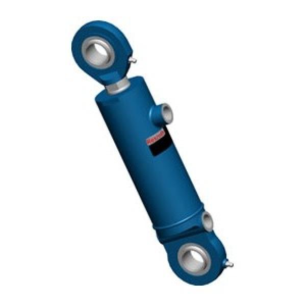 REXROTH Cylindre Hydraulique Jusqu'À 160bar Cylindre Mannesmann #2 image