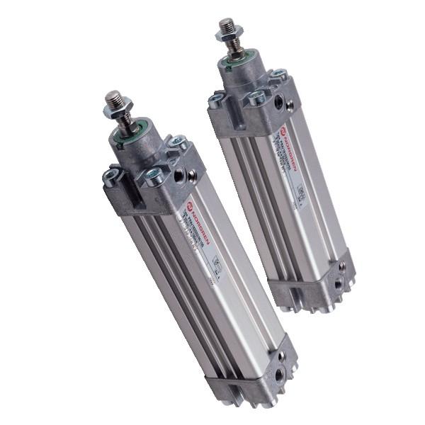 *NEW* LOT OF 2 Rexroth Double Action Pneumatic Cylinder  0 822 432 201 #1 image
