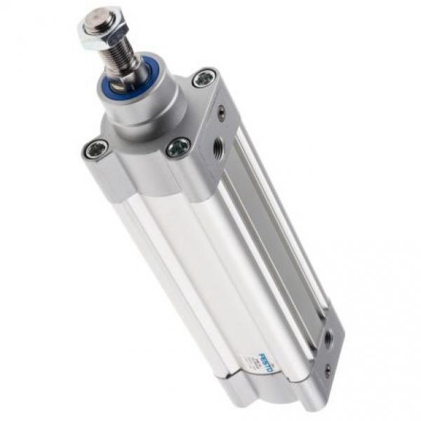 Vérin pneumatique air Cylinder DOUBLE Bosch D50 mm H 50 mm  765 0 822 352 002 #3 image