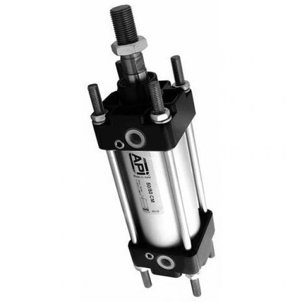 Bosch 0 822 021 013 Pneumatic Cylinder 40mm X 10mm 10bar #2 image