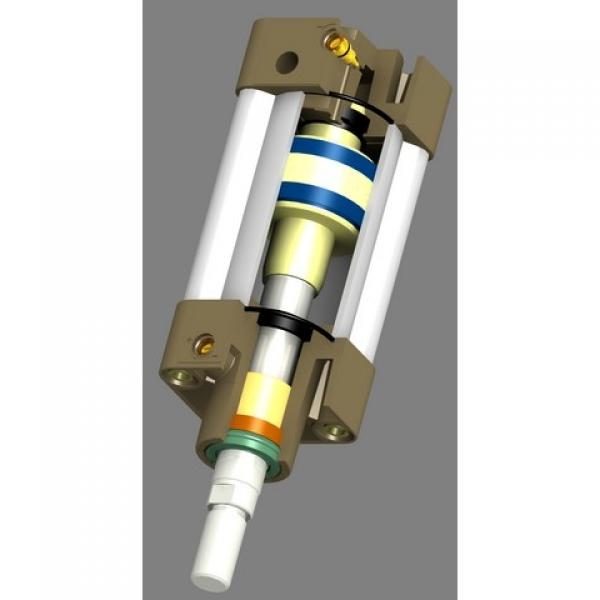 BOSCH REXROTH cylindre profilé 50x125mm pneumatique air double effet actionneur #1 image